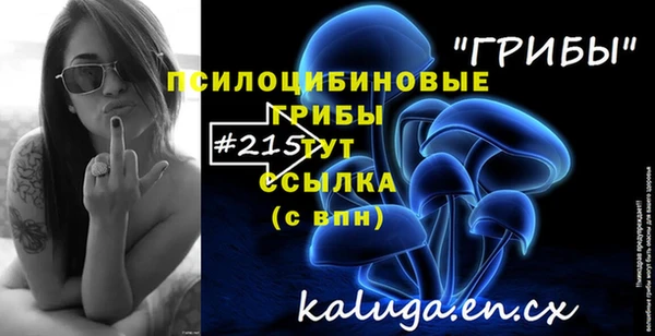 стафф Балахна