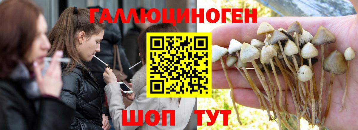 Галлюциногенные грибы прущие грибы Семилуки