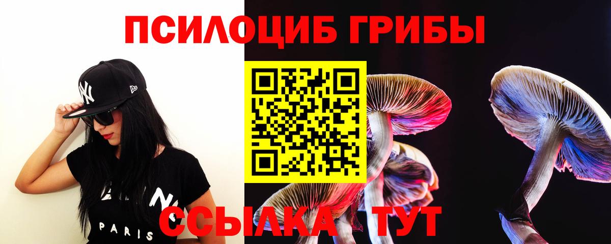 Семилуки  купить наркотик  Галлюциногенные грибы прущие грибы  Вход с VPN  Псилоцибиновые грибы Magic Shrooms 
