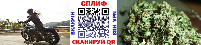 купить Семилуки Канабис ГИДРОПОН